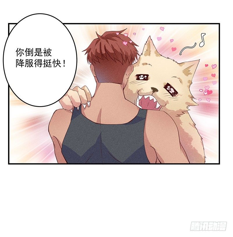 《世界上最倒霉的我》鬼鬼祟祟的老熟人 第38页