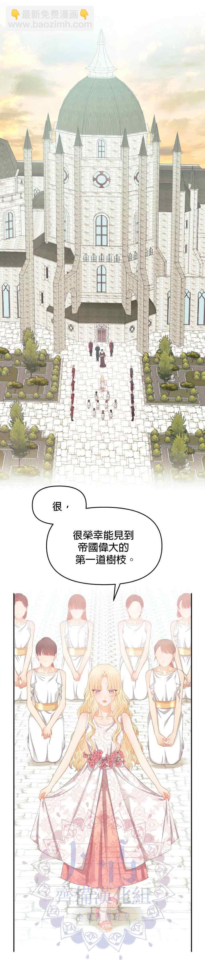 《请不要把情感托付于书中》第11话 第12页