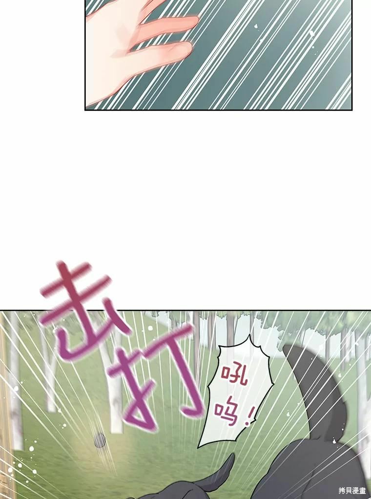 《请不要把情感托付于书中》第41话 第40页