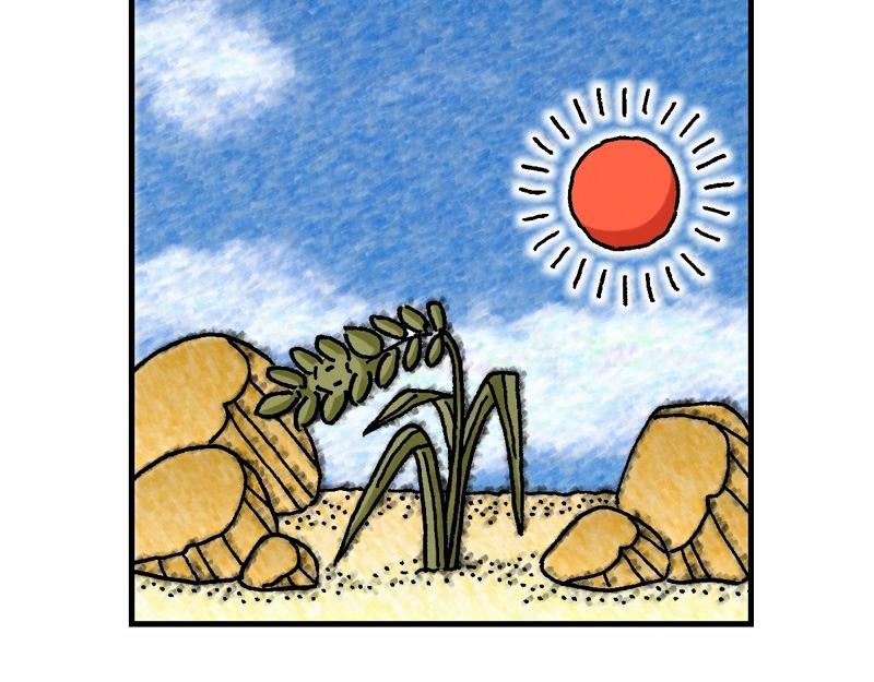 《漫画马太福音》第13章解释天国的奥秘 第11页