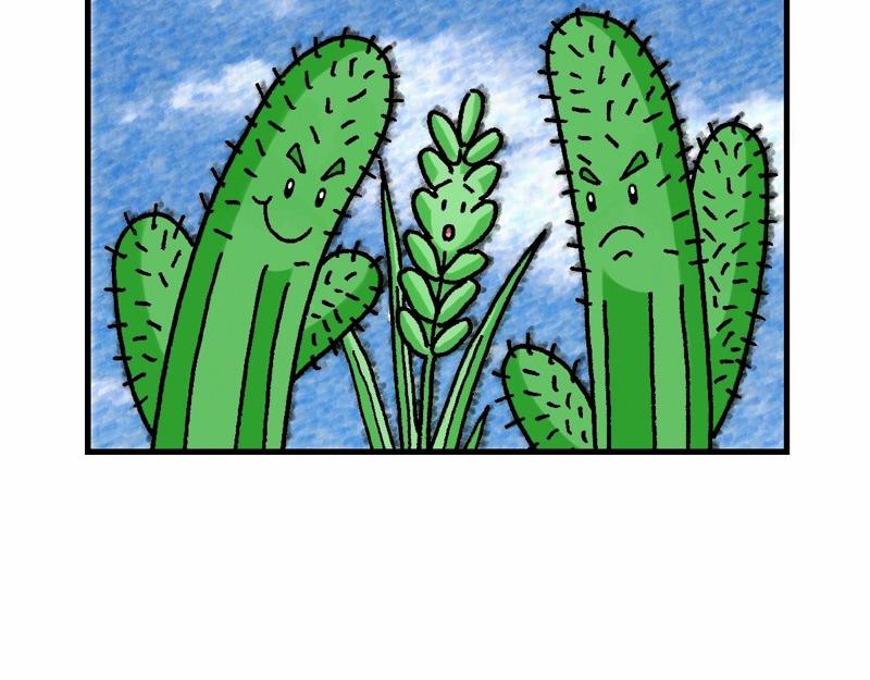 《漫画马太福音》第13章解释天国的奥秘 第14页