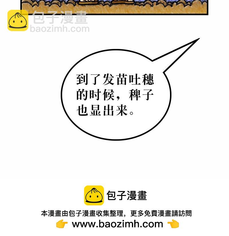 《漫画马太福音》第13章解释天国的奥秘 第50页