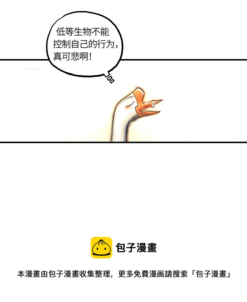 《糖果法师》31 邂逅 第21页