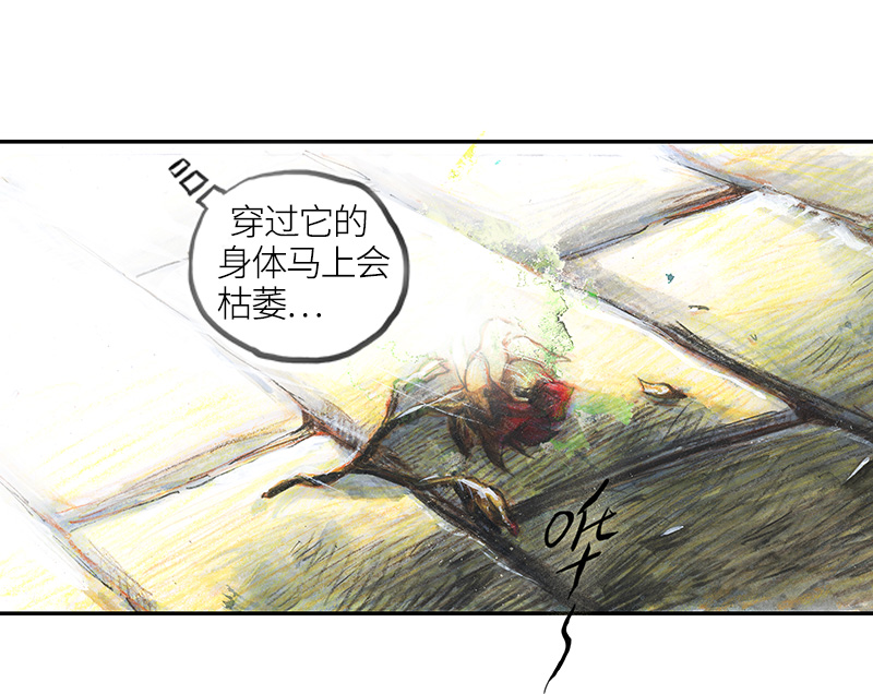 《糖果法师》35 降临日III 第42页