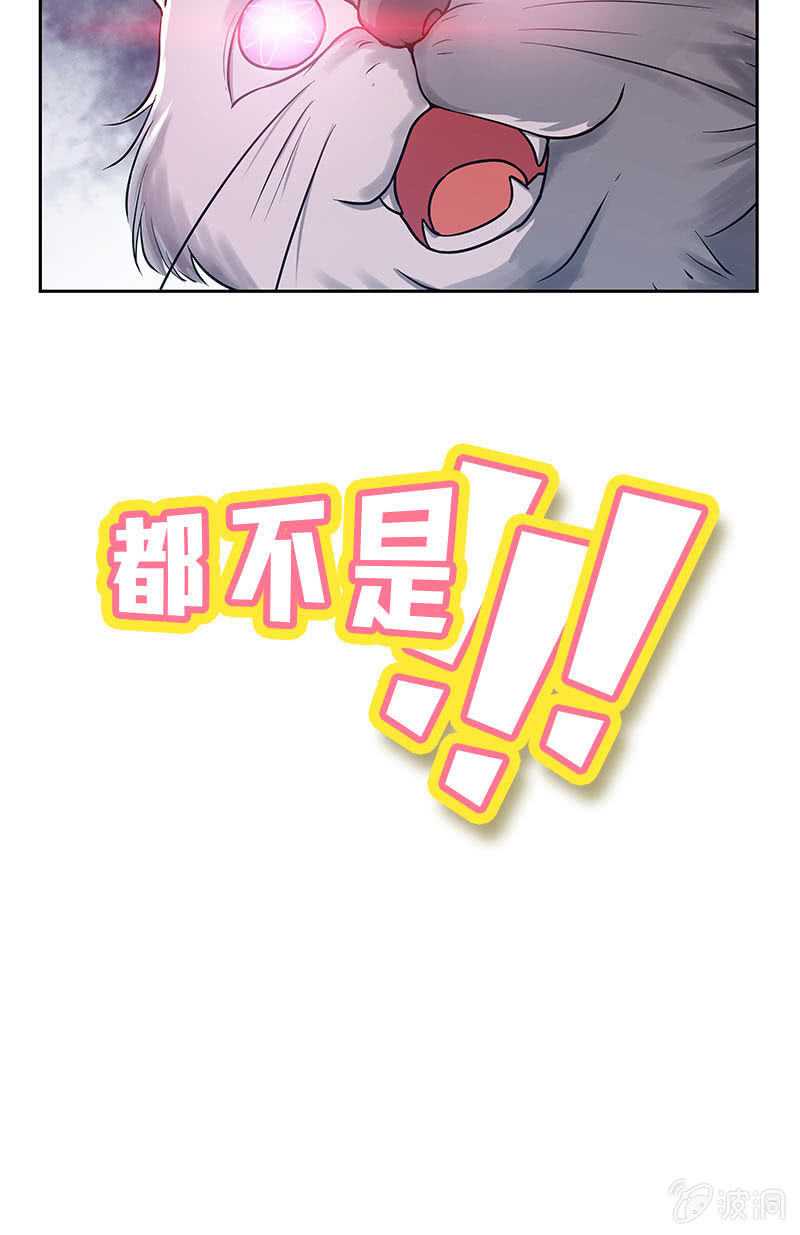 《魔女的家宴》预告 第10页