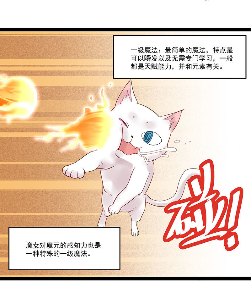 《魔女的家宴》第9话 第11页