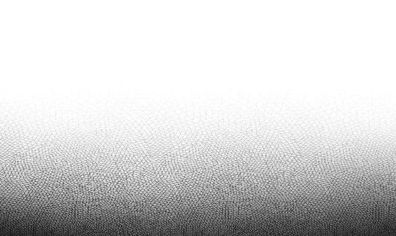 《武林高手在都市》第11话 生日宴会 第5页