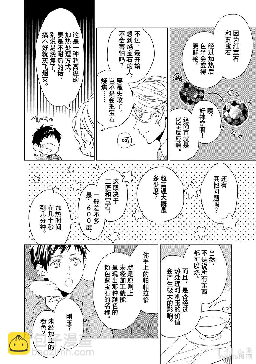 《宝石商人理查德的谜鉴定》3 红宝石的真相 前篇 第14页