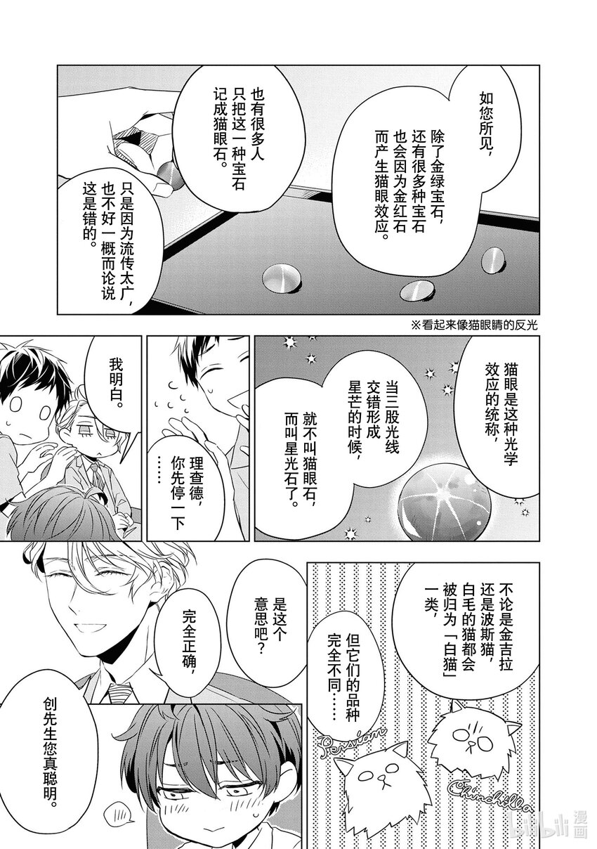 《宝石商人理查德的谜鉴定》9 猫眼石的慧眼 前篇 第38页