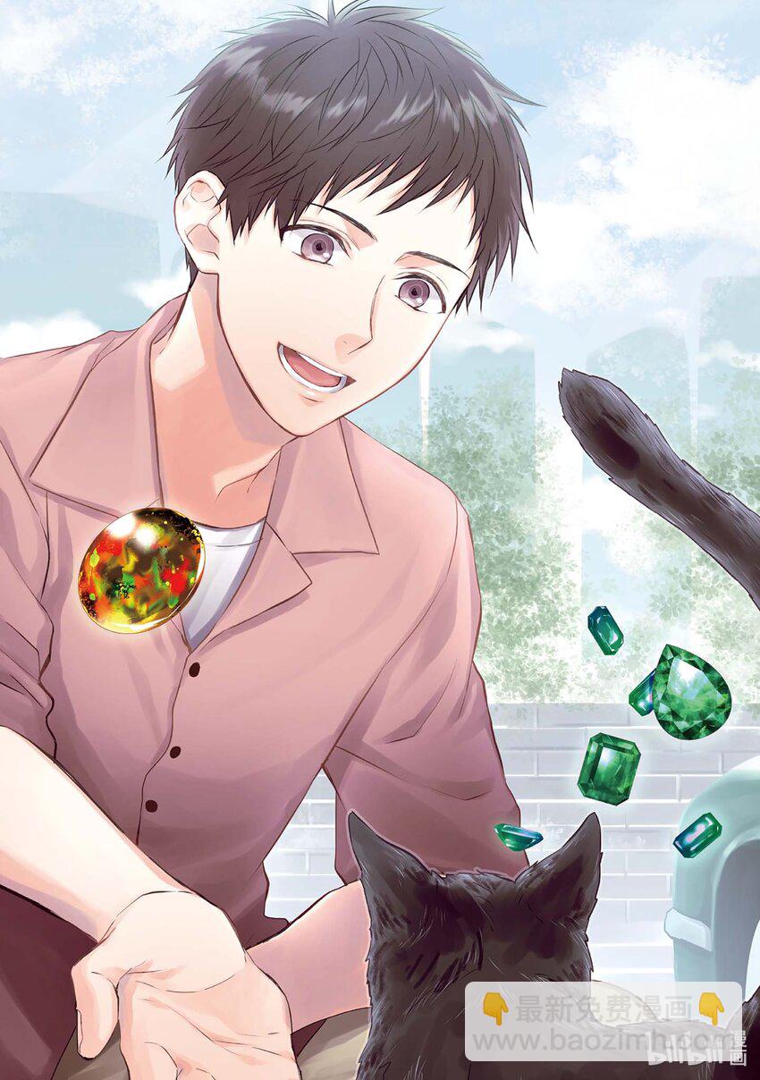 《宝石商人理查德的谜鉴定》9 猫眼石的慧眼 前篇 第6页