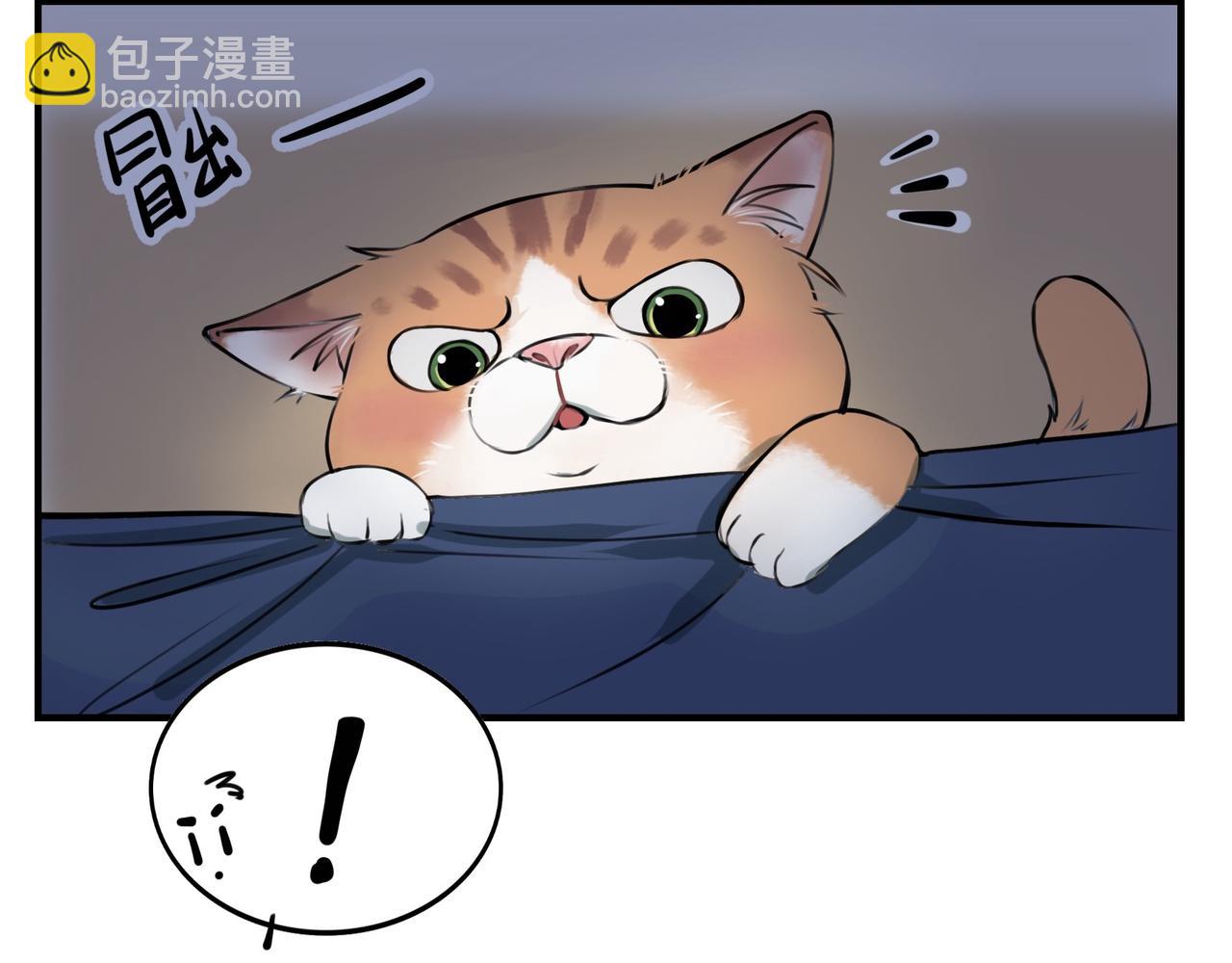 《猫猫究竟在想什么？》第4话和猫猫说晚安 第46页