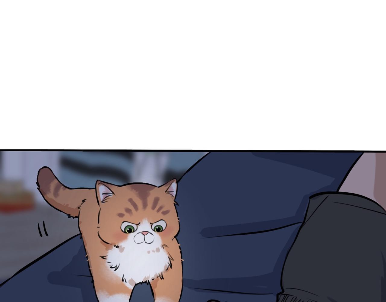《猫猫究竟在想什么？》第4话和猫猫说晚安 第48页