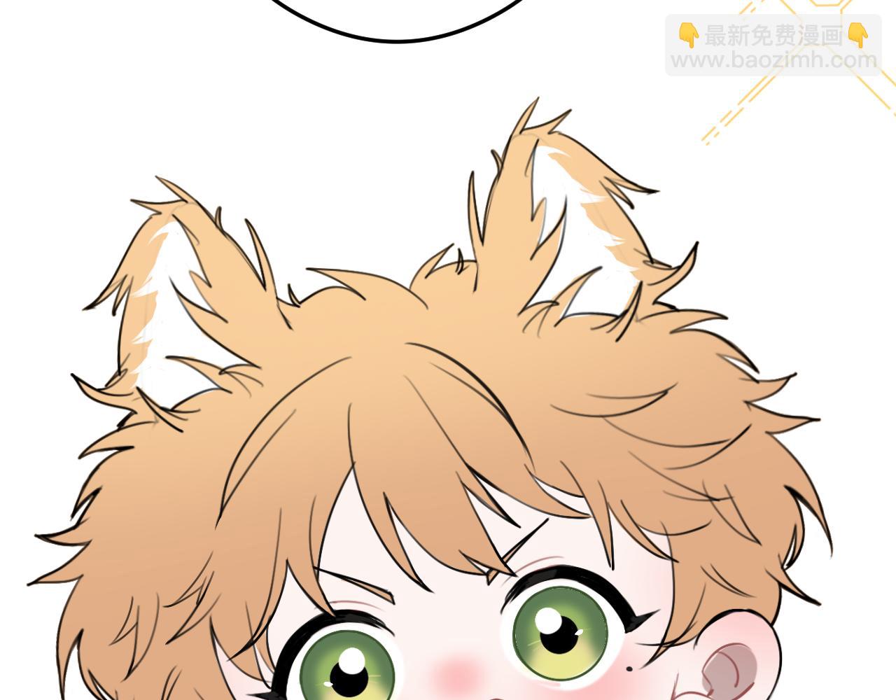 《猫猫究竟在想什么？》小剧场番外 猫猫玩偶 第11页