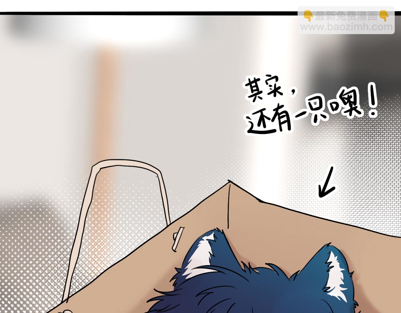 《猫猫究竟在想什么？》小剧场番外 猫猫玩偶 第37页