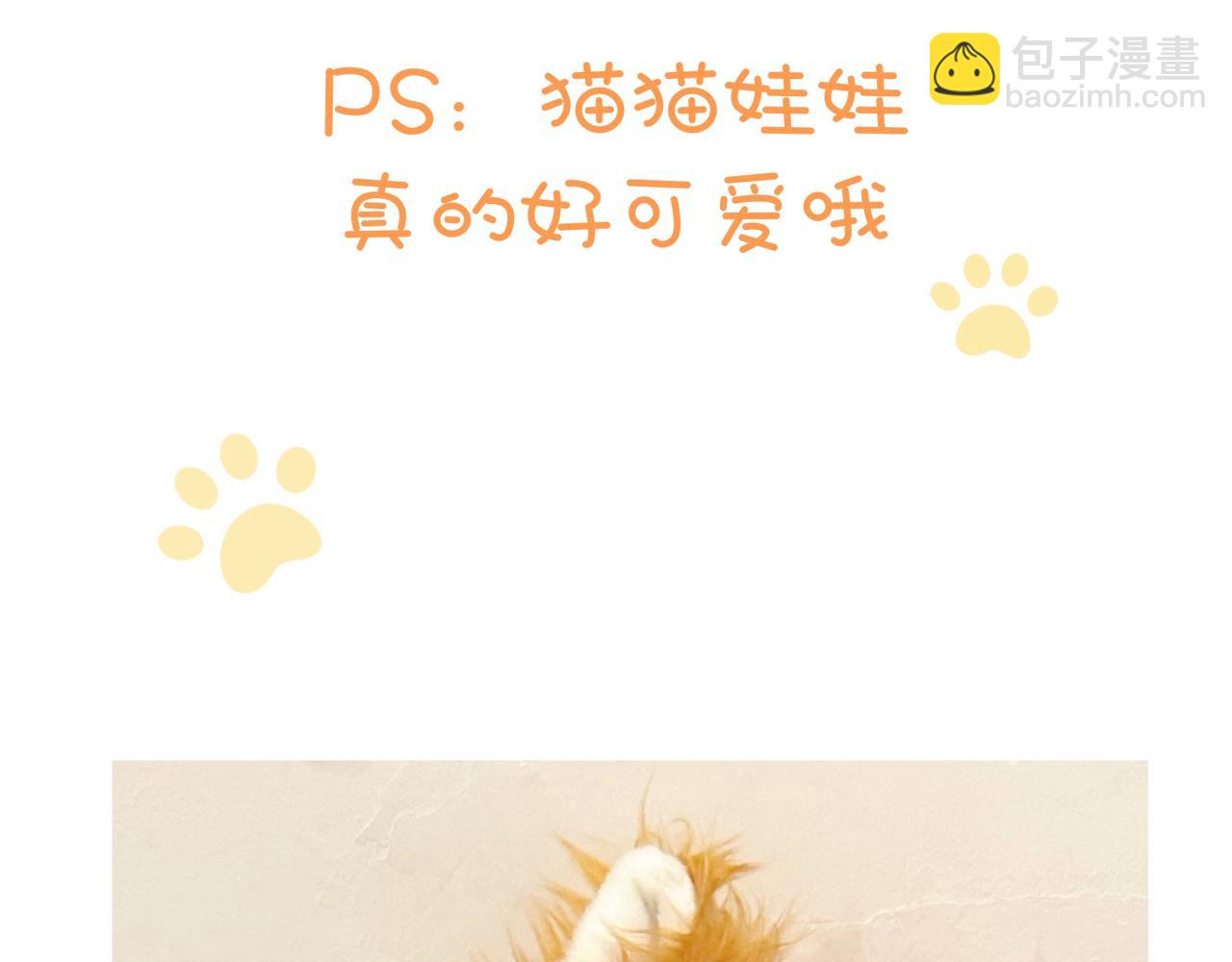《猫猫究竟在想什么？》小剧场番外 猫猫玩偶 第44页