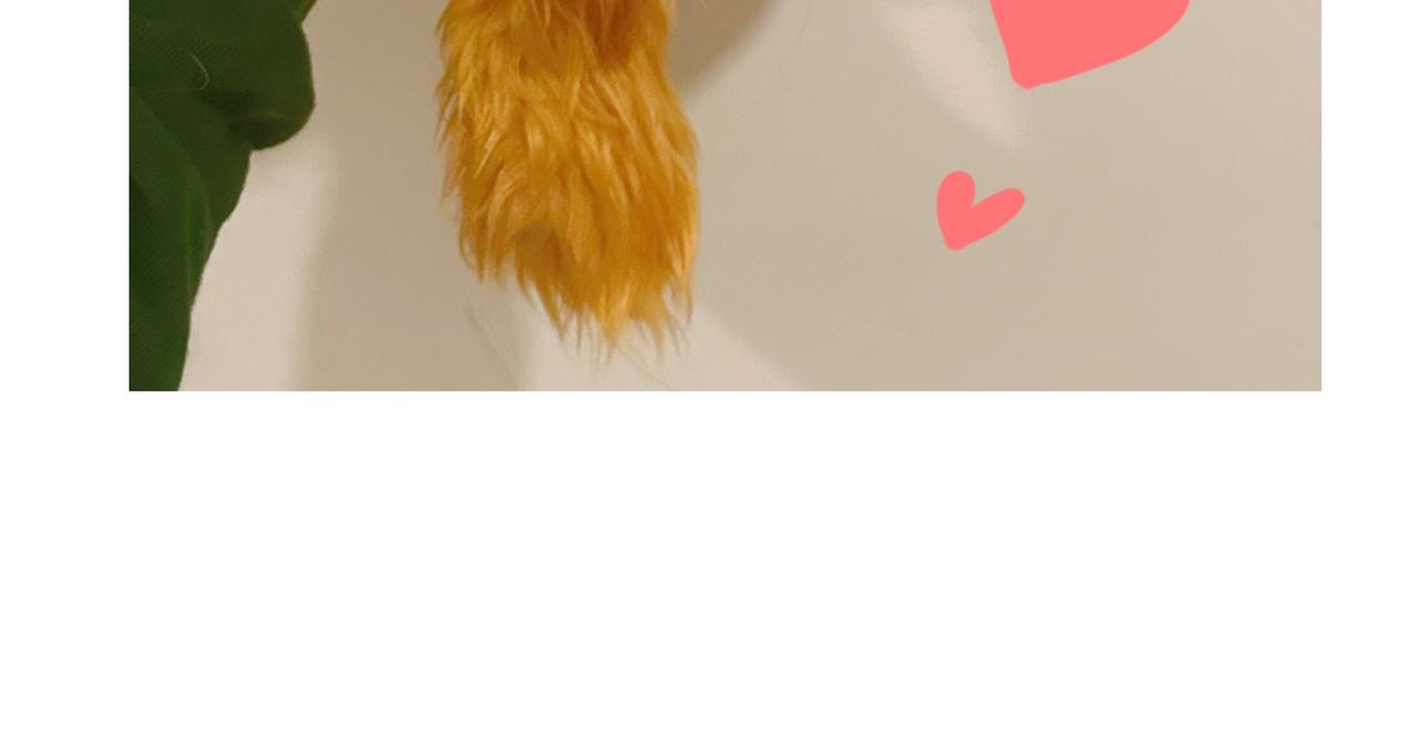 《猫猫究竟在想什么？》小剧场番外 猫猫玩偶 第46页