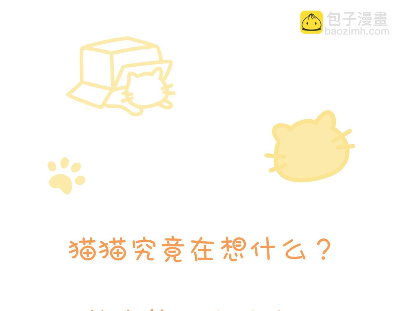 《猫猫究竟在想什么？》小剧场番外 猫猫玩偶 第47页