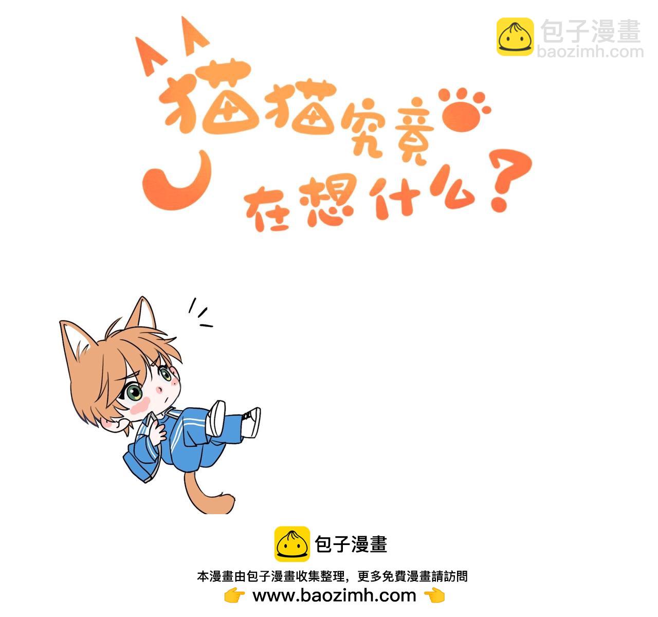《猫猫究竟在想什么？》小剧场番外 猫猫玩偶 第50页
