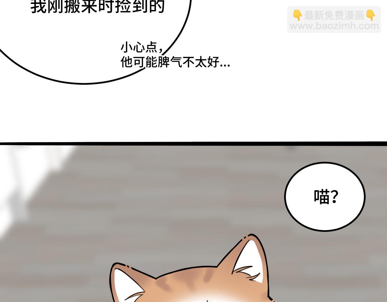 《猫猫究竟在想什么？》第11话 猫猫和猫猫？ 第18页