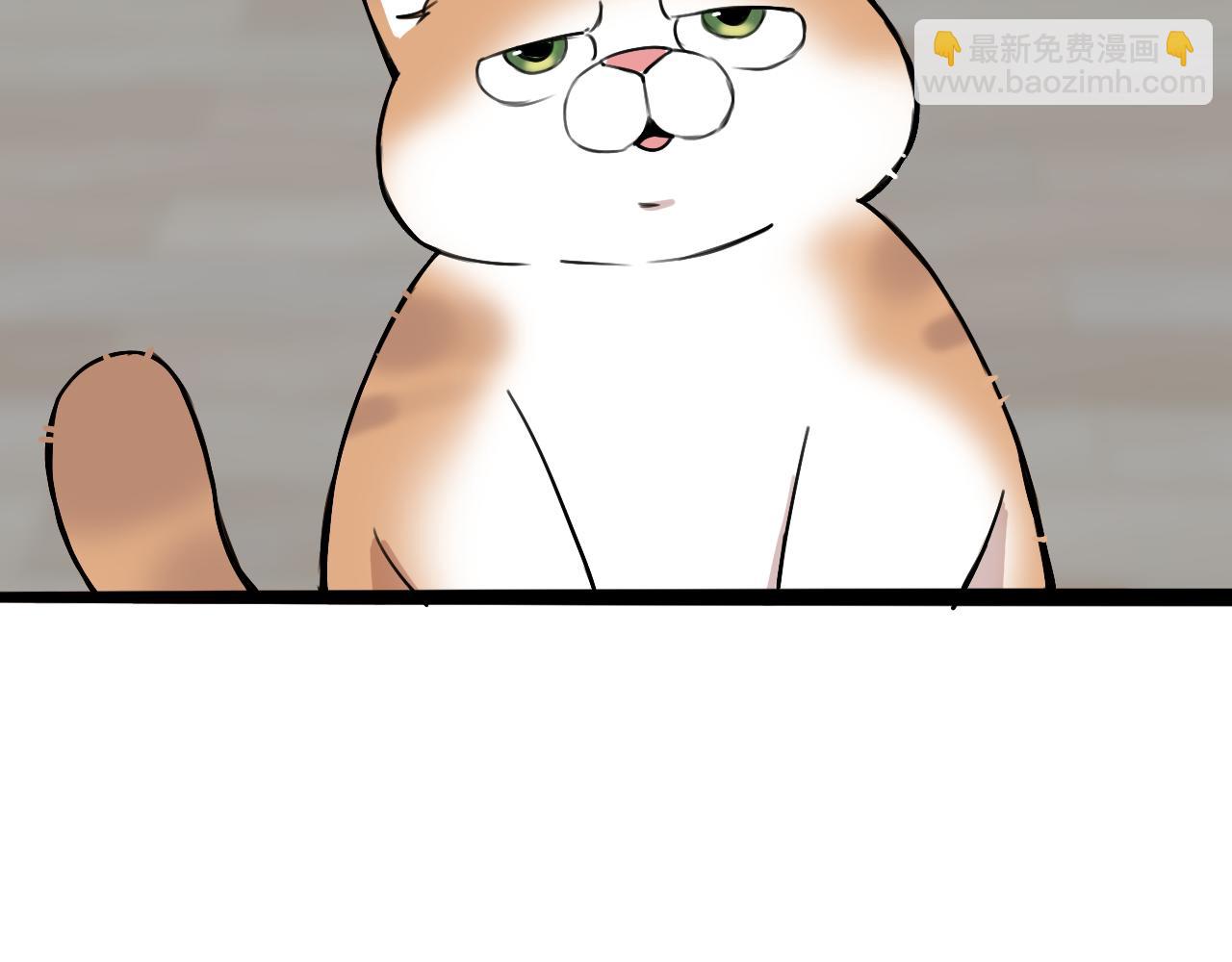 《猫猫究竟在想什么？》第11话 猫猫和猫猫？ 第19页