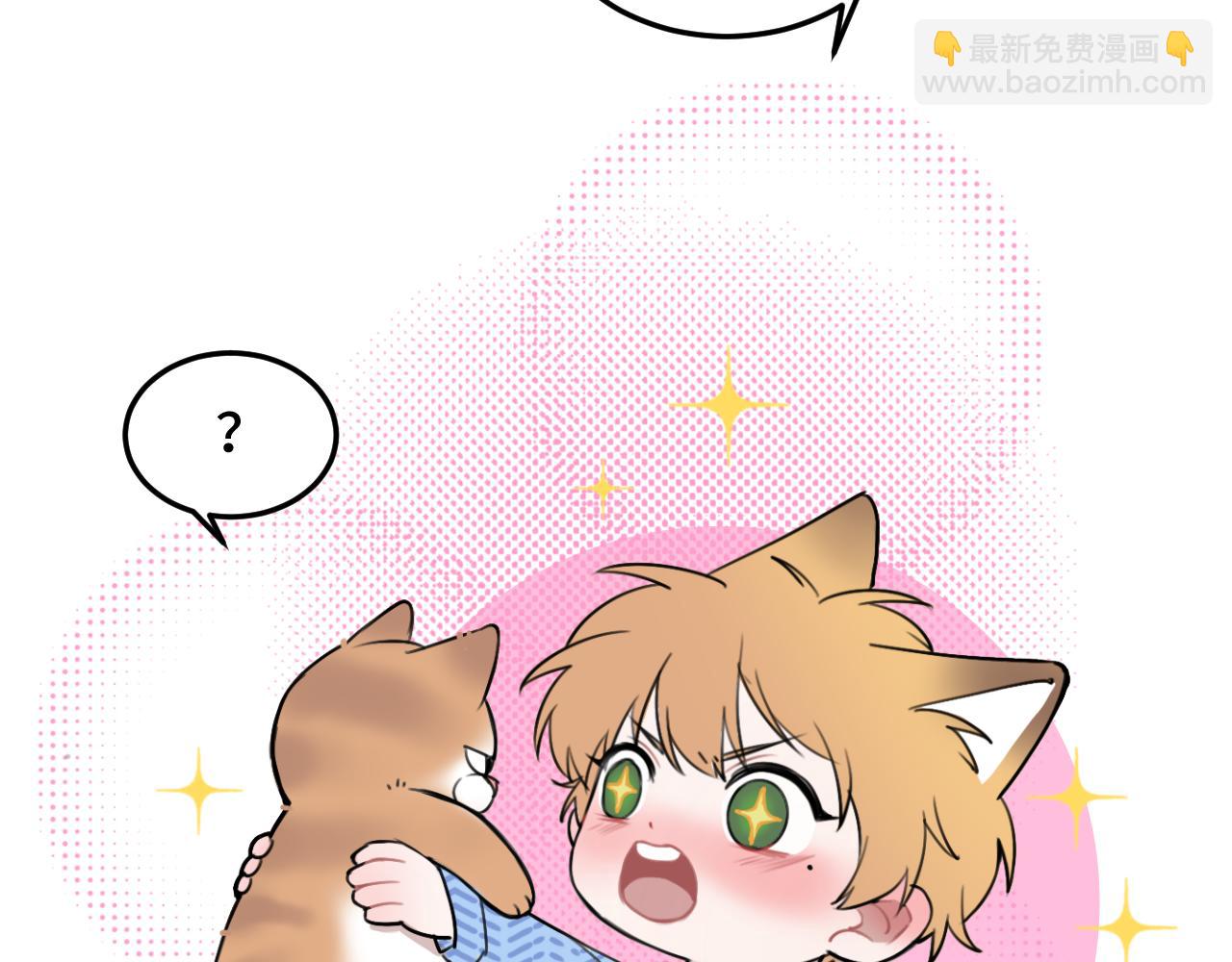 《猫猫究竟在想什么？》第11话 猫猫和猫猫？ 第21页