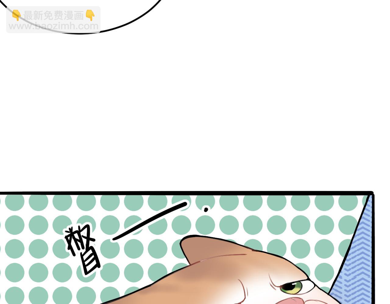 《猫猫究竟在想什么？》第11话 猫猫和猫猫？ 第31页