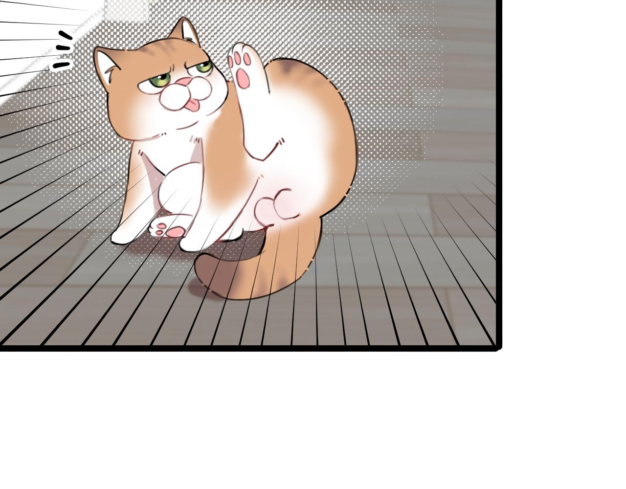 《猫猫究竟在想什么？》第14话 猫猫失去了一些东西 第38页