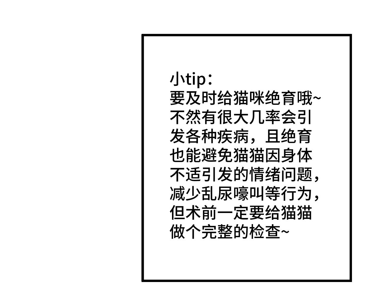 《猫猫究竟在想什么？》第14话 猫猫失去了一些东西 第39页