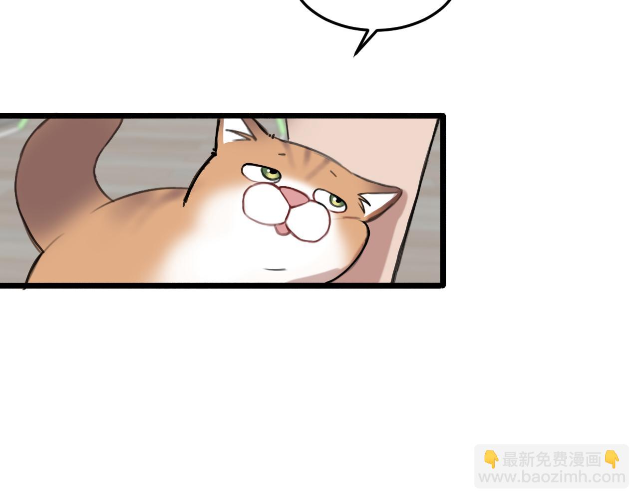 《猫猫究竟在想什么？》第18话 猫猫有不好的预感！ 第35页