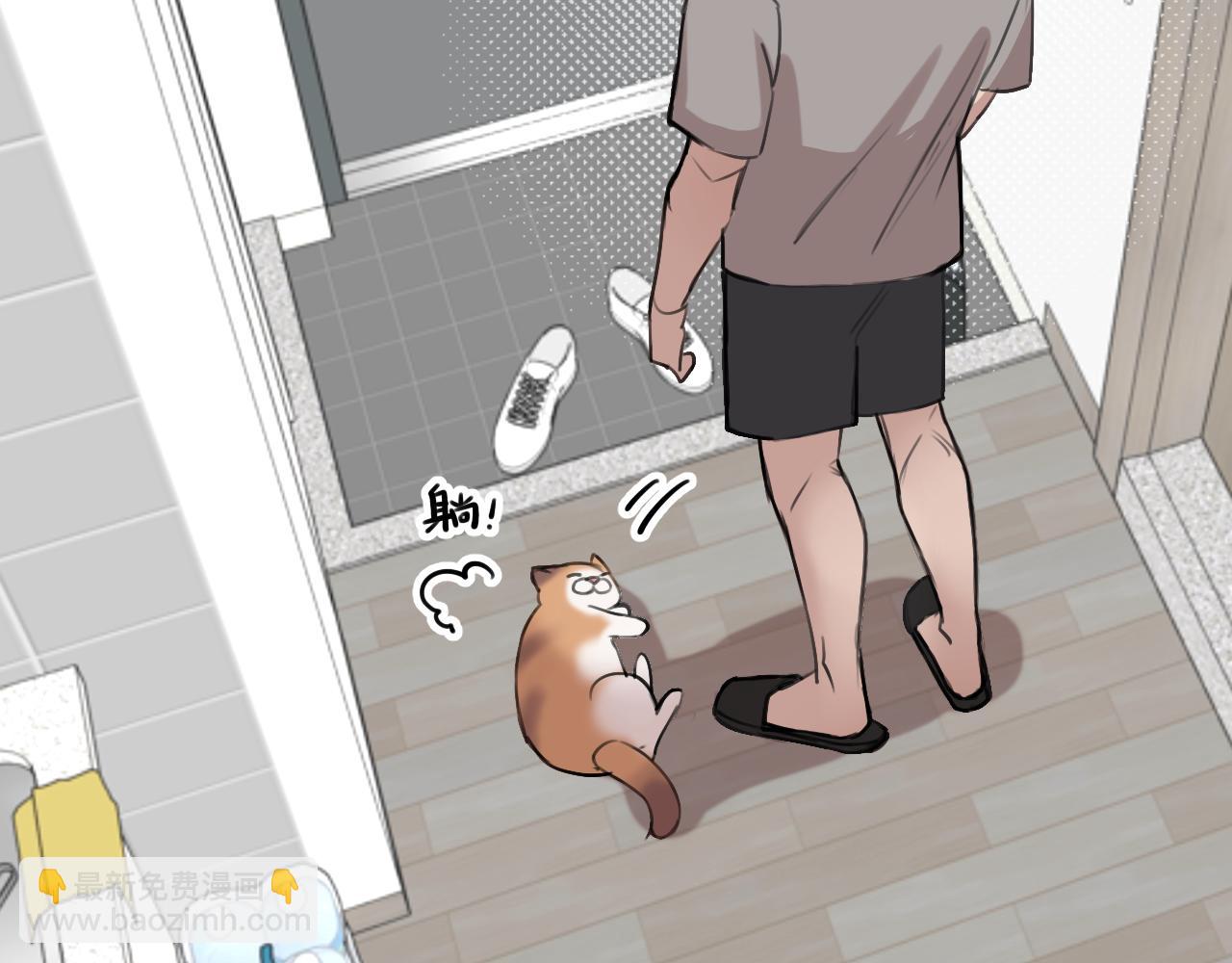 《猫猫究竟在想什么？》第18话 猫猫有不好的预感！ 第37页