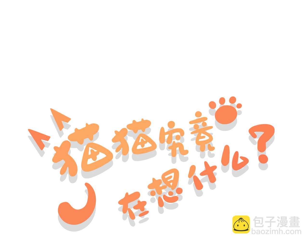 《猫猫究竟在想什么？》第18话 猫猫有不好的预感！ 第3页