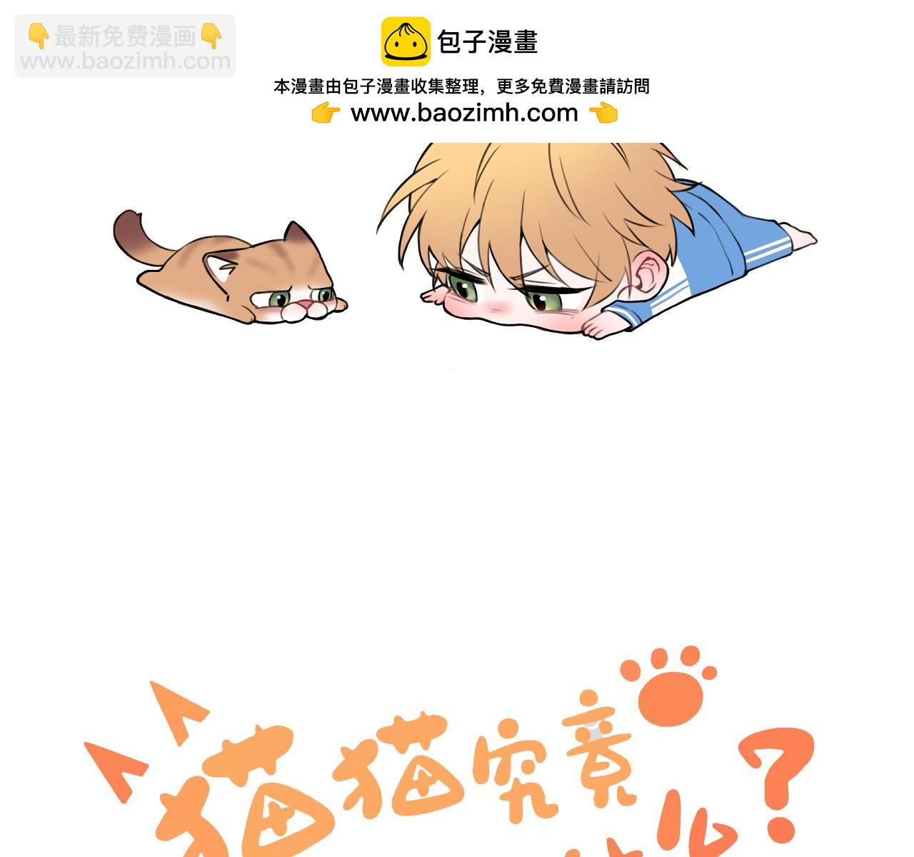 《猫猫究竟在想什么？》第17话 猫猫的小心思？ 第2页