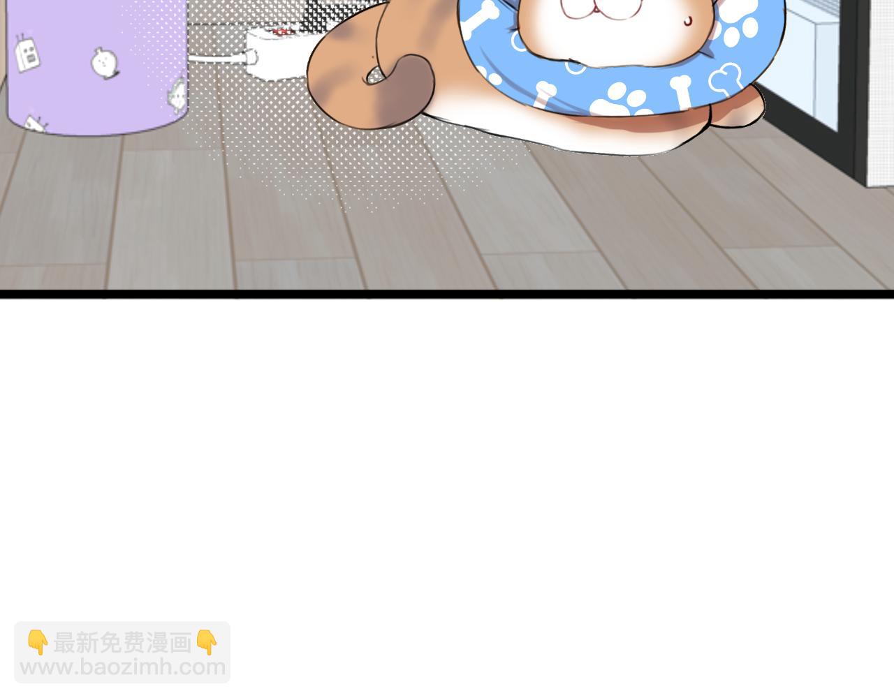 《猫猫究竟在想什么？》第15话 不许凶猫猫！ 第39页