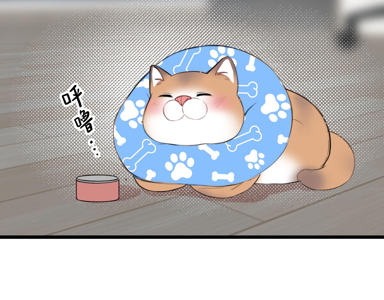 《猫猫究竟在想什么？》第15话 不许凶猫猫！ 第5页