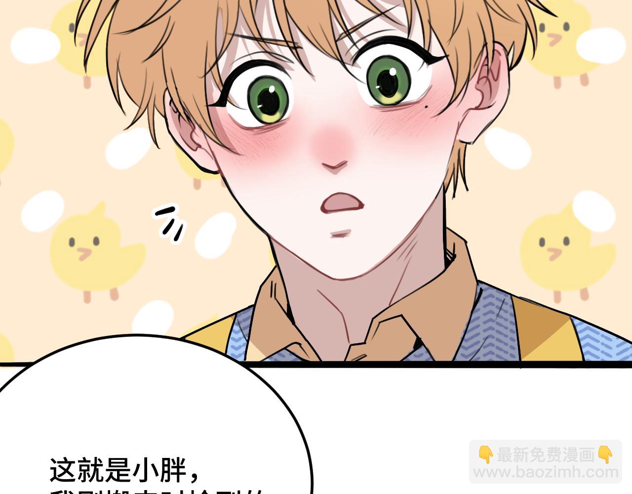 《猫猫究竟在想什么？》猫猫和猫猫？ 第17页