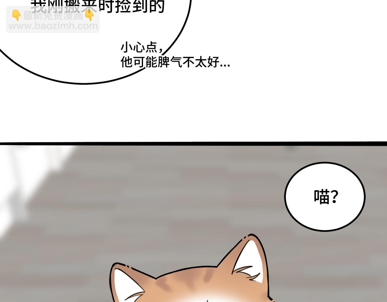 《猫猫究竟在想什么？》猫猫和猫猫？ 第18页
