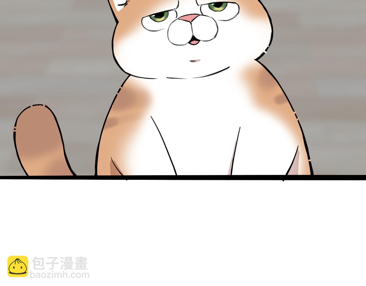 《猫猫究竟在想什么？》猫猫和猫猫？ 第19页