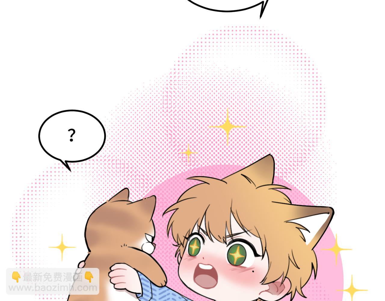 《猫猫究竟在想什么？》猫猫和猫猫？ 第21页