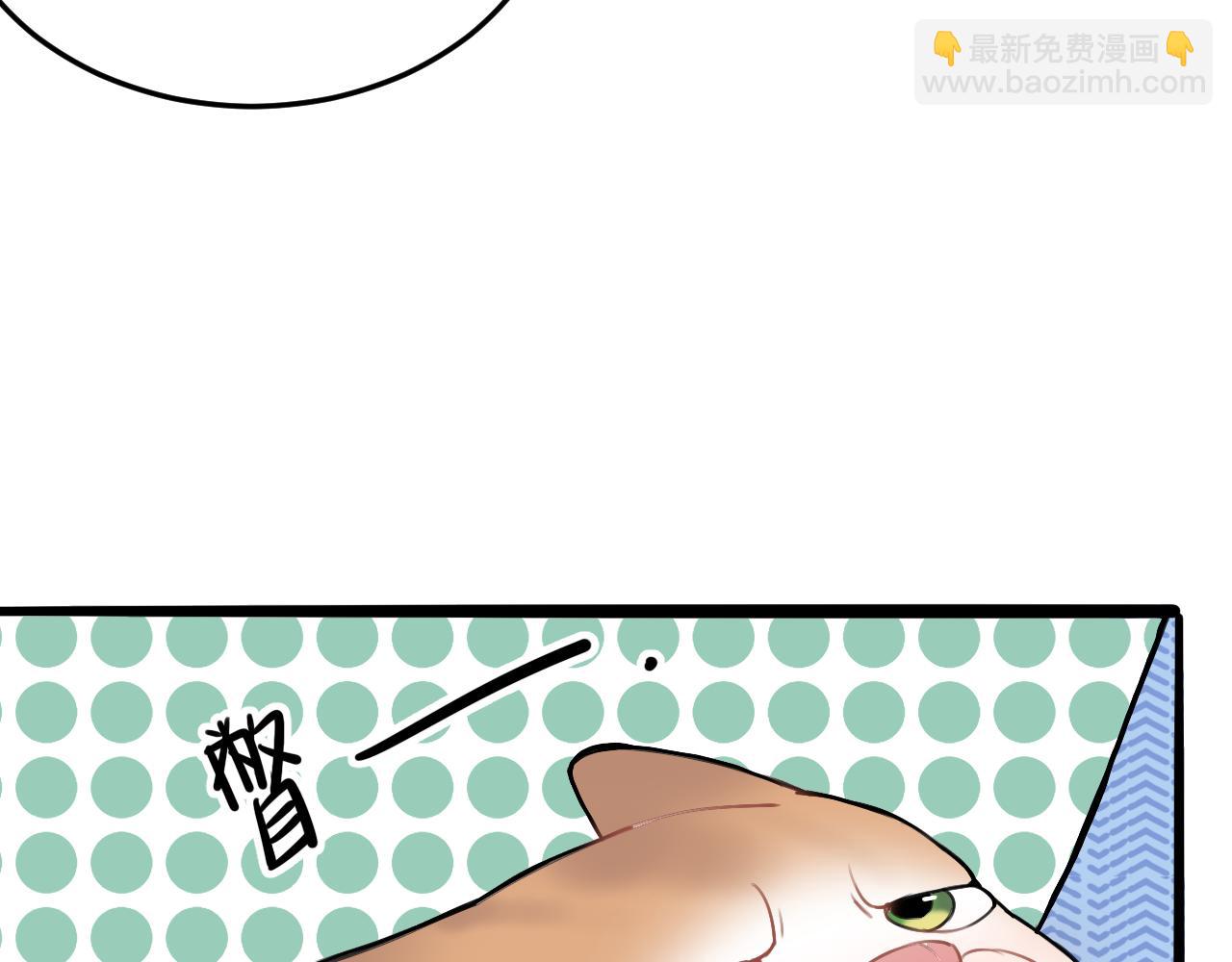 《猫猫究竟在想什么？》猫猫和猫猫？ 第31页
