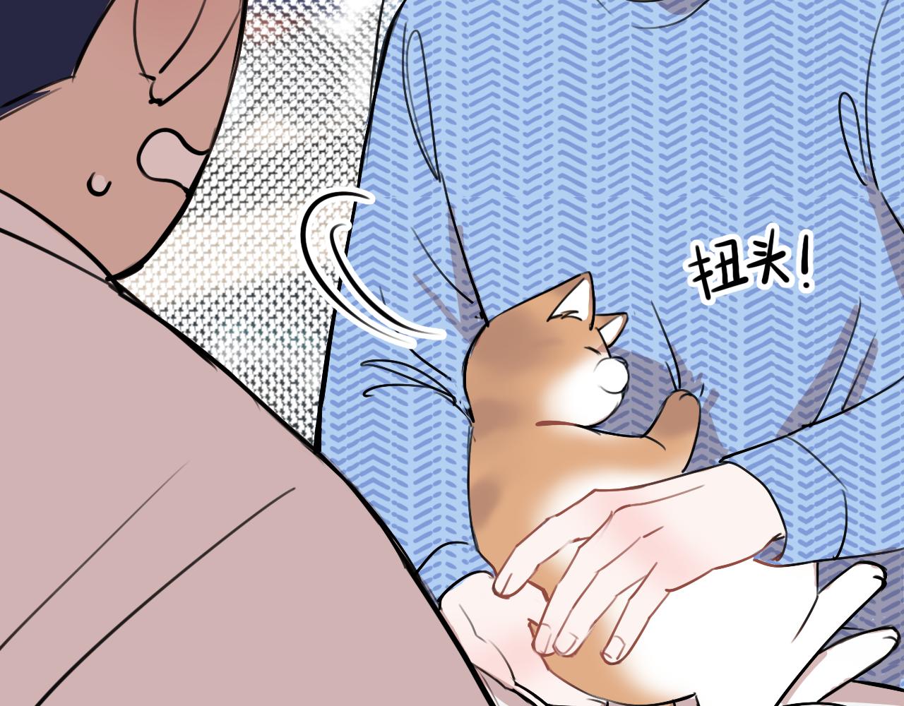 《猫猫究竟在想什么？》猫猫和猫猫？ 第34页