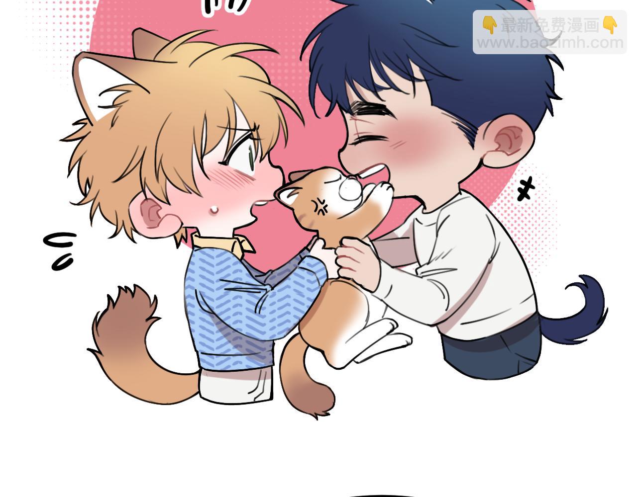 《猫猫究竟在想什么？》猫猫摔倒了！！ 第12页