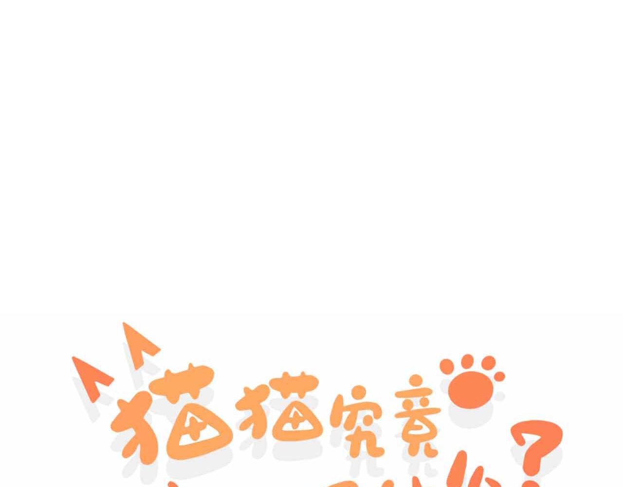 《猫猫究竟在想什么？》猫猫摔倒了！！ 第1页