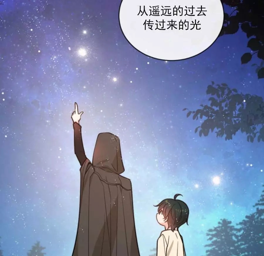 《无望的魔愿》第48话 第29页