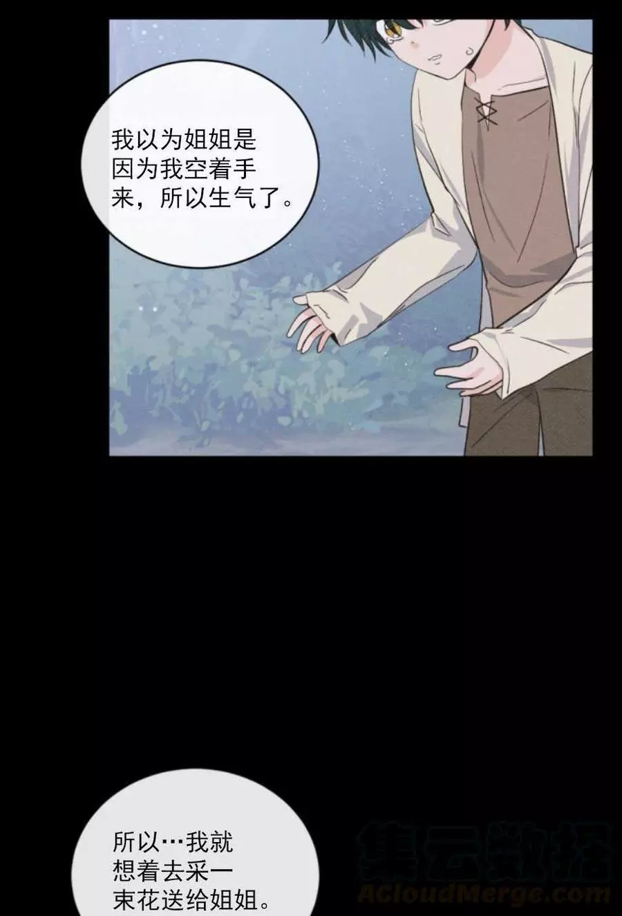 《无望的魔愿》第67话 第17页