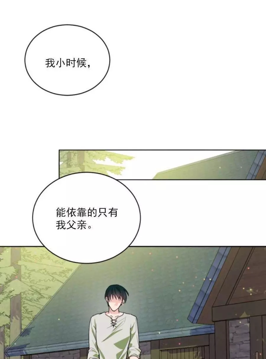 《无望的魔愿》第66话 第31页