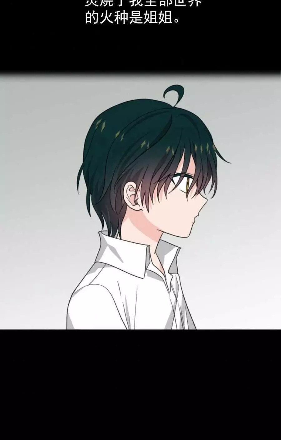 《无望的魔愿》第66话 第48页
