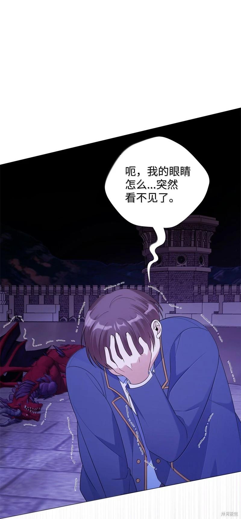 《成为颓废小说主人公的夫人》第68话 第41页