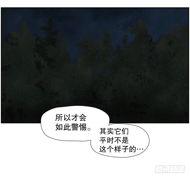 《日蚀黑暗崛起》森林之灾 第23页