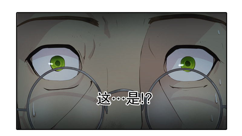 《日蚀黑暗崛起》罗孚的狼 第29页