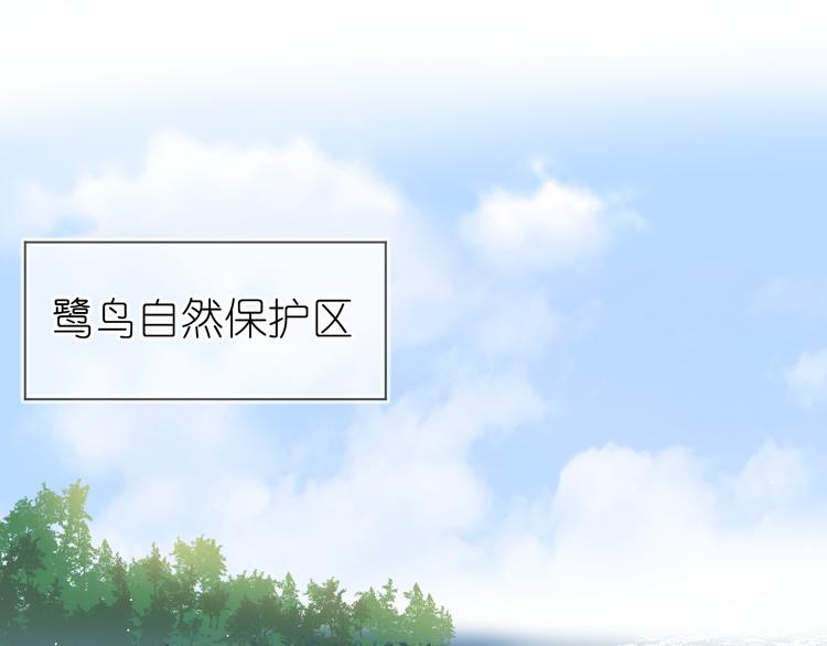 《毕竟我那么优秀》07、在树荫之下 第24页